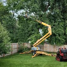 How Our Tree Care Process Works  in Bradley Beach, NJ